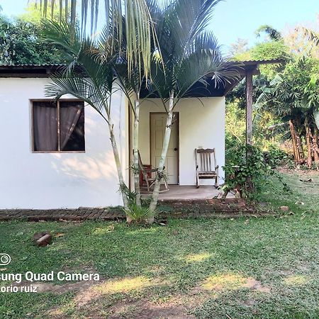 Hostel Los Chocoyos Mérida Zewnętrze zdjęcie