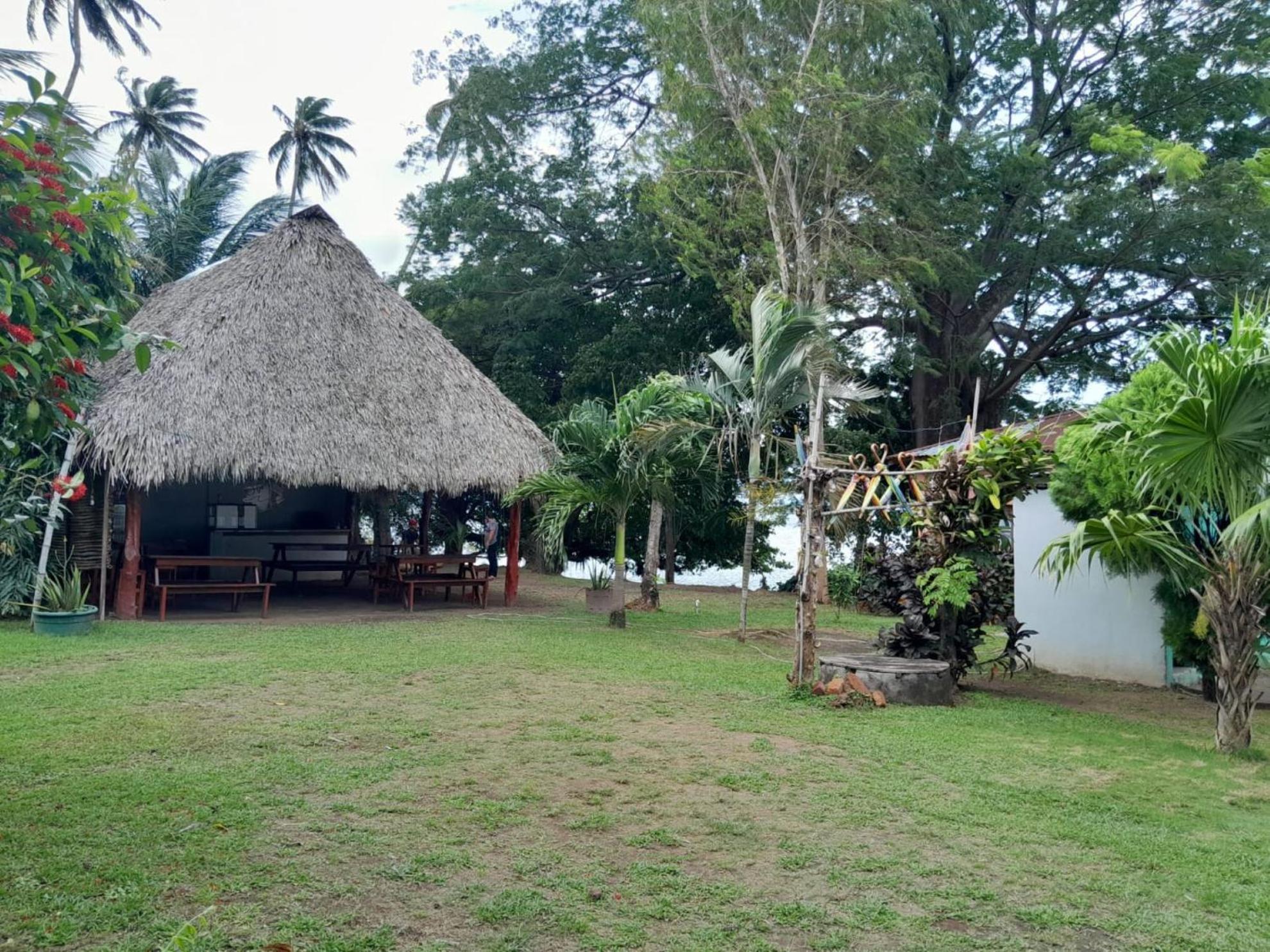 Hostel Los Chocoyos Mérida Zewnętrze zdjęcie