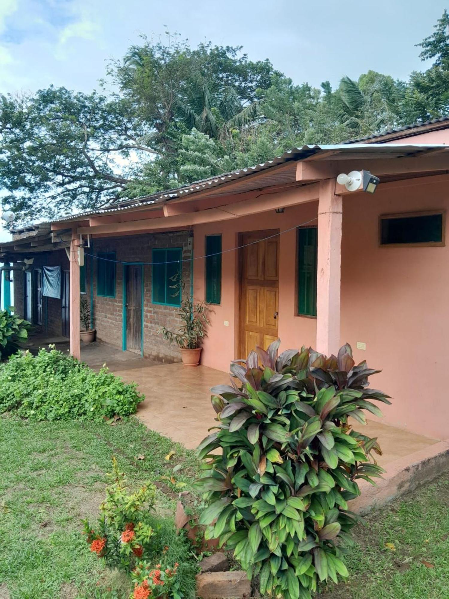 Hostel Los Chocoyos Mérida Zewnętrze zdjęcie